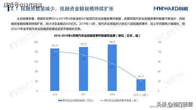 股票融资编程，探索现代金融的新领域