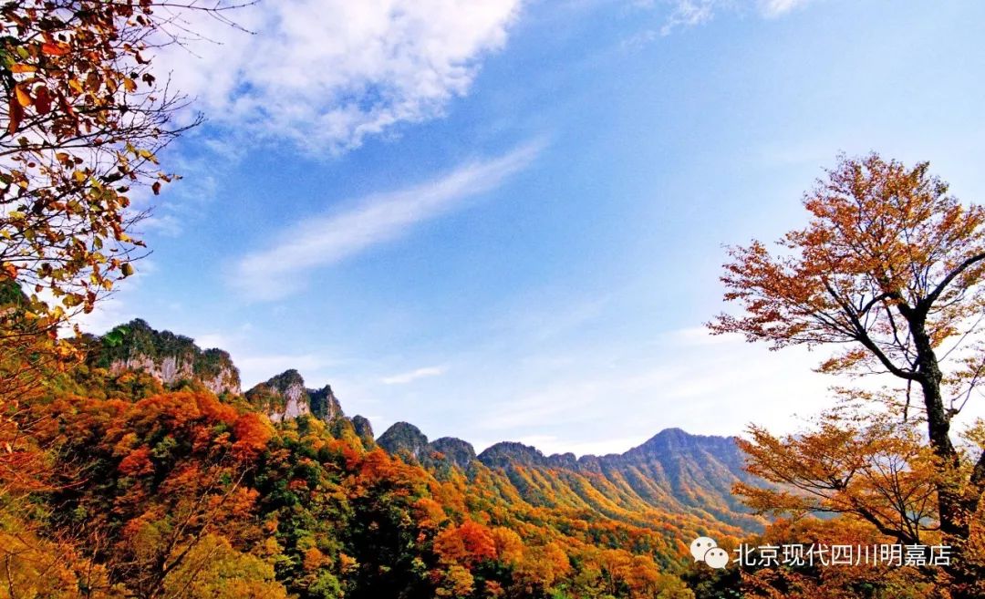 光雾山美食之旅，味蕾与视觉的双重盛宴