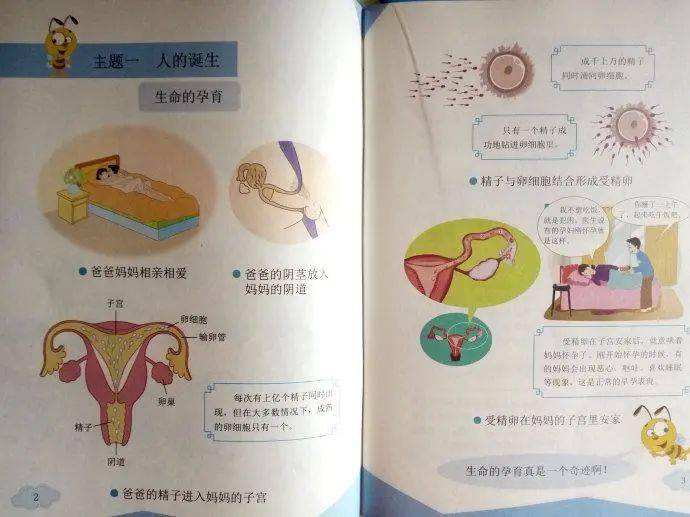 关于女性性健康教育的误区与正确观念——以女学生处破外女出血视频为例