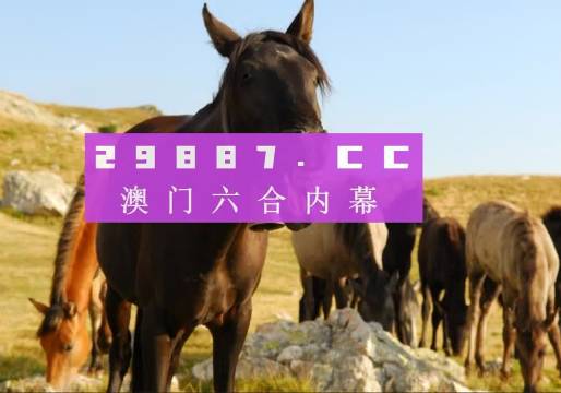 澳门管家婆免费资料网站大全-精选解析与落实的详细结果