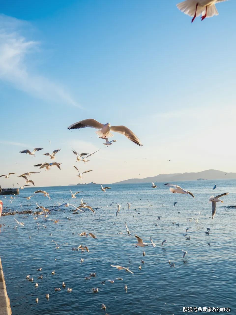 大连旅游攻略，探索浪漫海滨城市的魅力